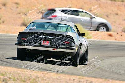 media/May-04-2025-Lucky Dog Racing (Sun) [[21629467aa]]/Turn 4 (10-1045am)/Rear/